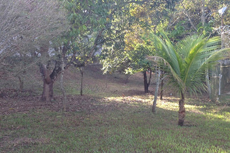 Clínica de Reabilitação em Belo Horizonte - Minas Gerais - Tratamento para Dependência Química e Alcoolismo