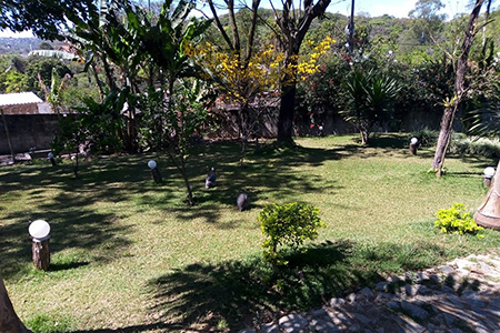 Clínica de Reabilitação em Belo Horizonte - Minas Gerais - Tratamento para Dependência Química e Alcoolismo