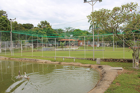 Clínica de Reabilitação em Belo Horizonte - Minas Gerais - Tratamento para Dependência Química e Alcoolismo