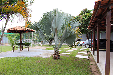 Clínica de Reabilitação em Belo Horizonte - Minas Gerais - Tratamento para Dependência Química e Alcoolismo