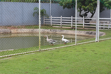 Clínica de Reabilitação em Belo Horizonte - Minas Gerais - Tratamento para Dependência Química e Alcoolismo
