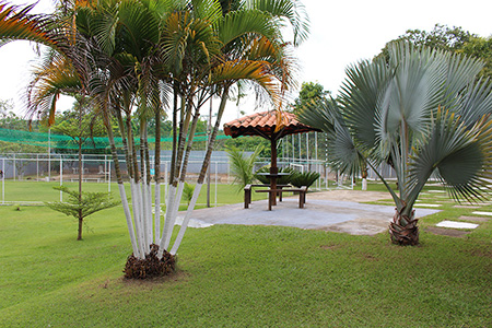 Clínica de Reabilitação em Belo Horizonte - Minas Gerais - Tratamento para Dependência Química e Alcoolismo