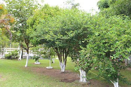 Clínica de Reabilitação em Belo Horizonte - Minas Gerais - Tratamento para Dependência Química e Alcoolismo
