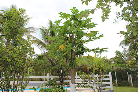 Clínica de Reabilitação em Belo Horizonte - Minas Gerais - Tratamento para Dependência Química e Alcoolismo